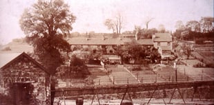 Can you identify this week's Mystery Photograph?
