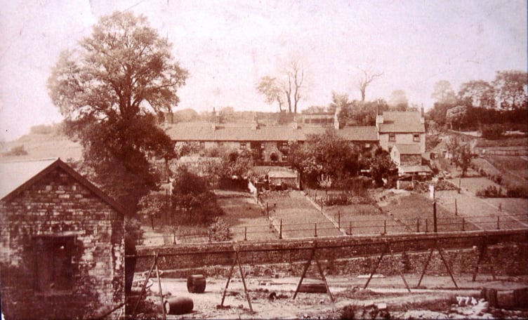 Can you identify this week's Mystery Photograph?