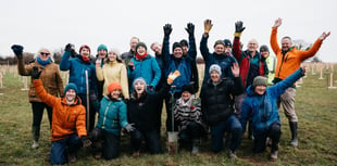 Avon Needs Trees breaks record with 1,100 trees planted in a day
