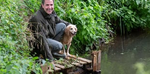Dan Norris MP shares advice on keeping pets safe 