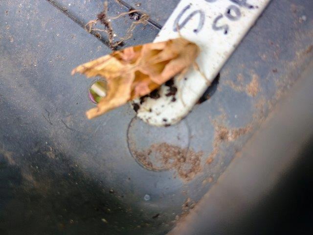 Wildlife by H.W: An enjoyable blast of spring sunshine