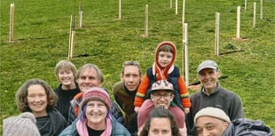 Community orchard blooms in Chew Stoke