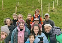 New orchard blooms in Chew Stoke