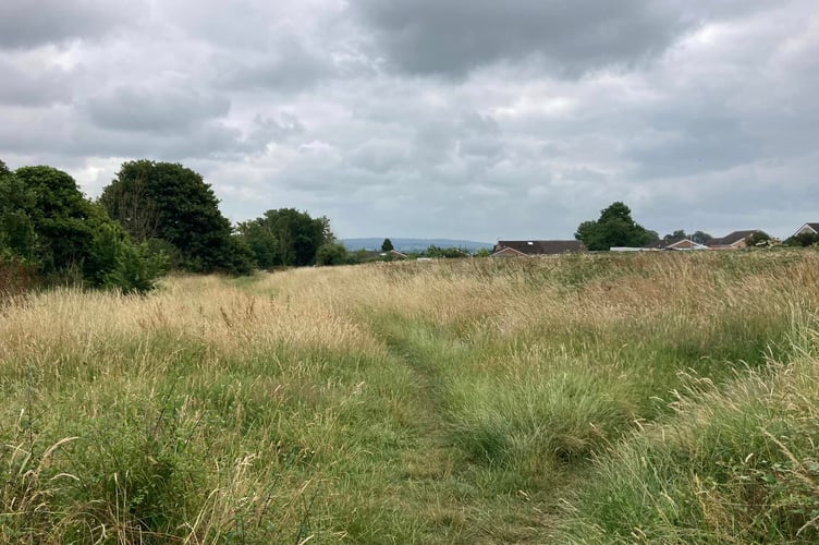 Packsaddle Fields in Frome (Photo: Daniel Mumby)