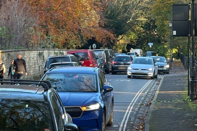 The Heart of Lansdown Conservation Group