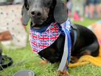Peasedown St John dog show returns at Party in the Park