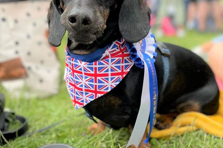 Peasedown St John hosts its annual Dog Show, sponsored by local organisations, on June 14 at the Party in the Park festival.
