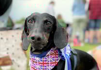Peasedown St John dog show returns at Party in the Park