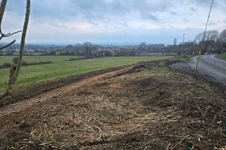Hedges removed from the entrance to the planned Persimmon development on the B3152 Station Road in Castle Cary