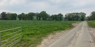 Councillors approve 200 homes in Yeovil