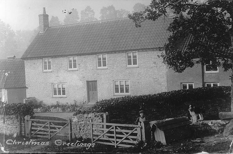 Can you guess this week's Mystery Photograph?