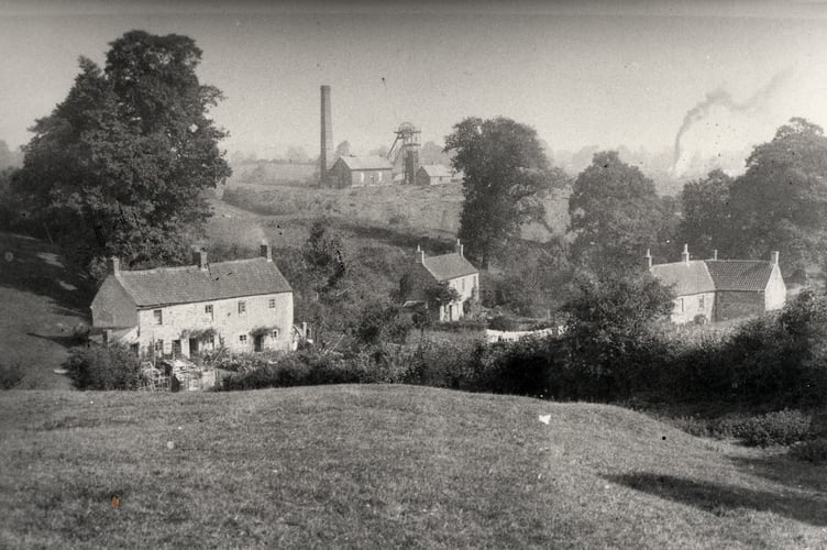 Last week's photo taken at Harris Vale in Coleford