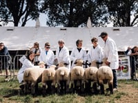 LIVE: The 2025 Royal Bath and West Show gets underway