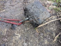 Dog tied to rope attached to weight before being drowned in river