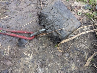 Dog tied to rope attached to weight before being drowned in river