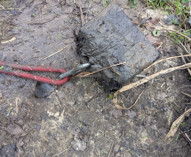 Dog tied to rope attached to weight before being drowned in river