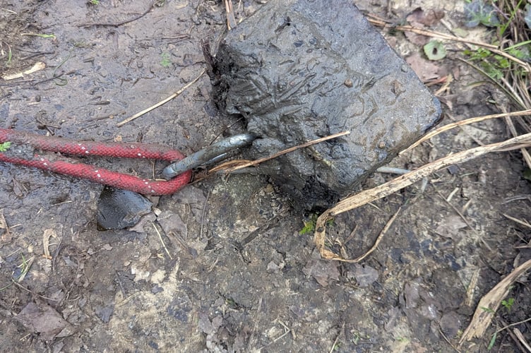 The RSPCA is asking the public for their help after a dog was tied to a rope attached to a weight before being drowned in the River Avon in Bath.