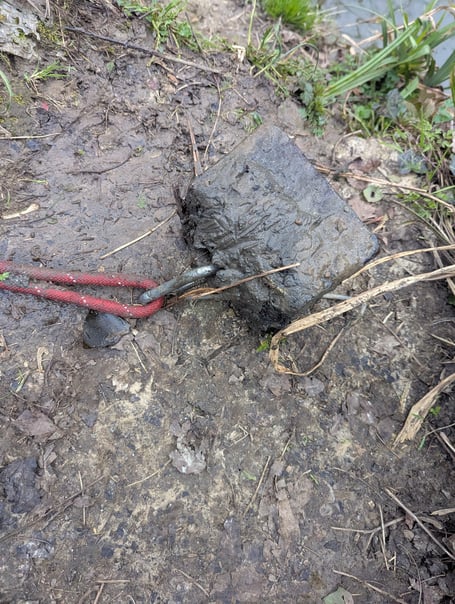 The RSPCA is asking the public for their help after a dog was tied to a rope attached to a weight before being drowned in the River Avon in Bath.