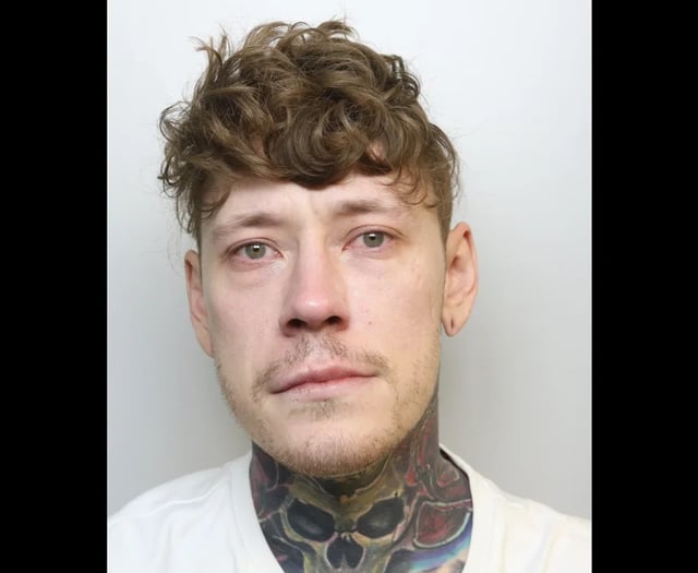 Man jailed for carrying out string of assaults on partner 