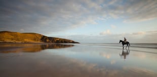 Tony Worobeic delivers a masterclass in mood and minimalism to NRPS