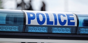 Three men held after Bath woodland assault