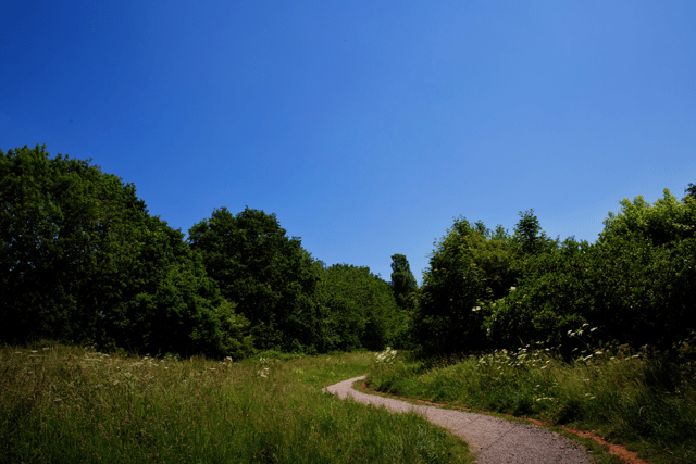 Council steps up action to prepare for growing climate impacts