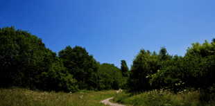 Residents invited to complete survey sharing views on climate change