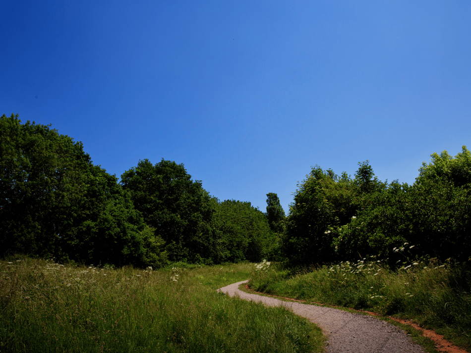 Council steps up action to prepare for growing climate impacts