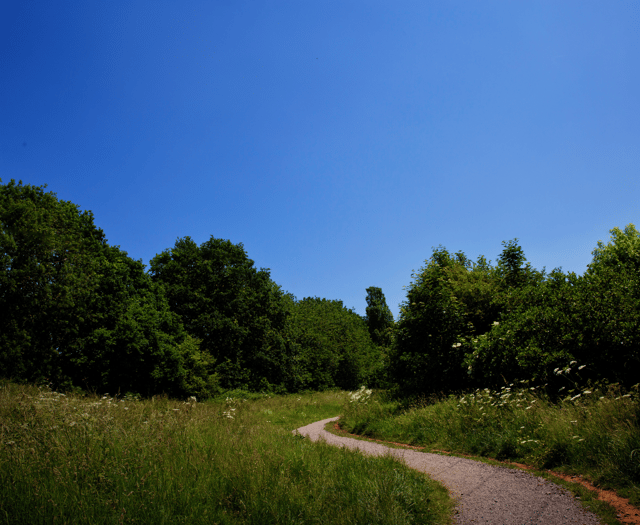Residents invited to complete survey sharing views on climate change