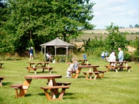 National Beer Garden Day: celebrate by supporting your local in Bath and North East Somerset, as pubs and bars continue to shut across the UK