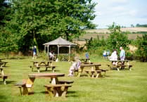 National Beer Garden Day: celebrate by supporting your local in Bath and North East Somerset, as pubs and bars continue to shut across the UK