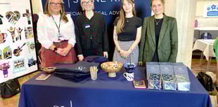 People and professionals come together at dementia conference