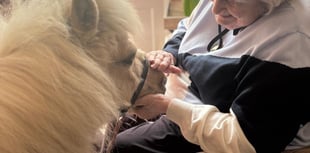 Therapy animals visit Crandon Springs Home