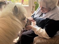 Therapy animals visit Crandon Springs Home