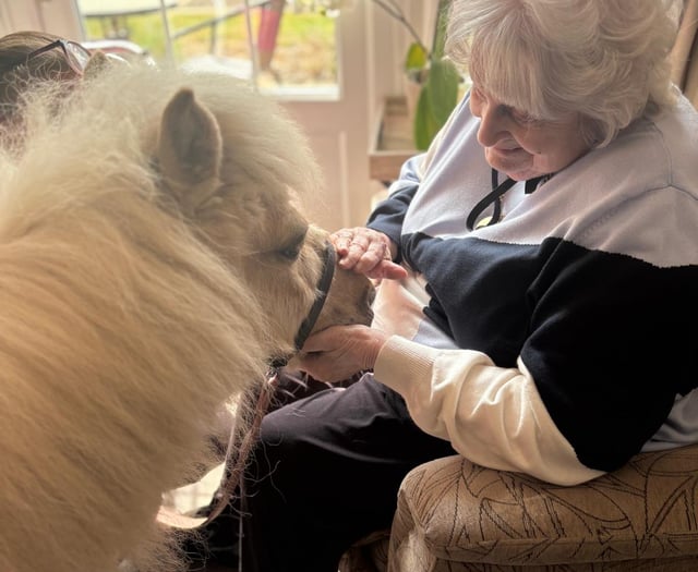 Therapy animals visit Crandon Springs Home