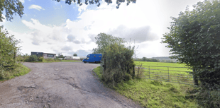 Families with hearing loss invited to Community Farm event