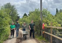 Bath MP makes visit to Lower Chew Forest to meet with Avon Needs Trees