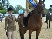 Amateur rider qualifies for Horse of the Year Show