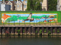 Young Bath artists' wildlife mural