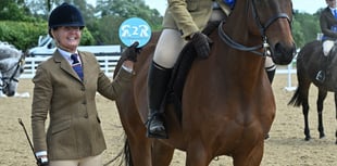 Maisie qualifies for the Horse of the Year Show 