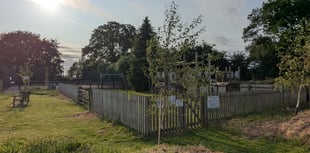 Fundraiser launched to save Ston Easton Play Area and Sports Court