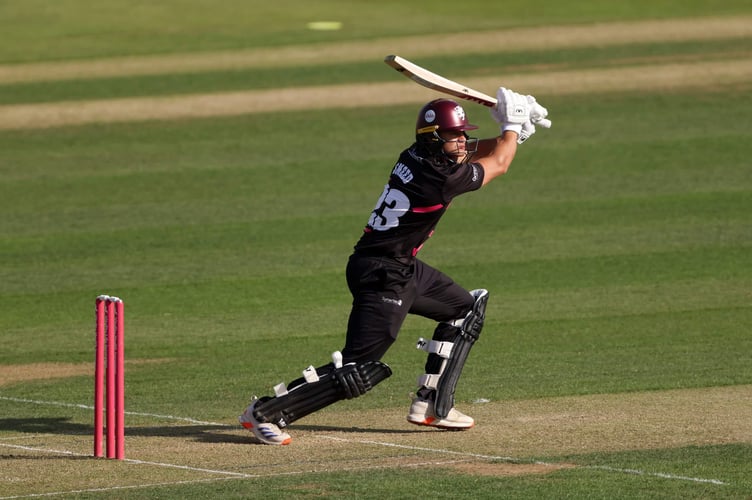 Will Smeed - hit unbeaten 81 for Somerset against Essex 