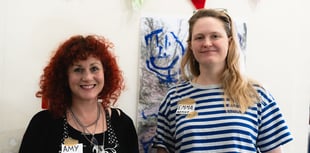 Art project receives funding from council and grants