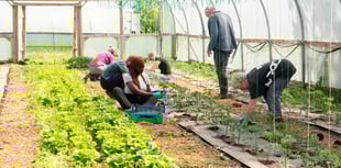 Farm nominated as best organic retailer