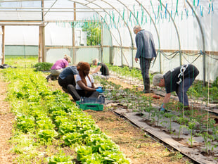 Farm nominated as best organic retailer