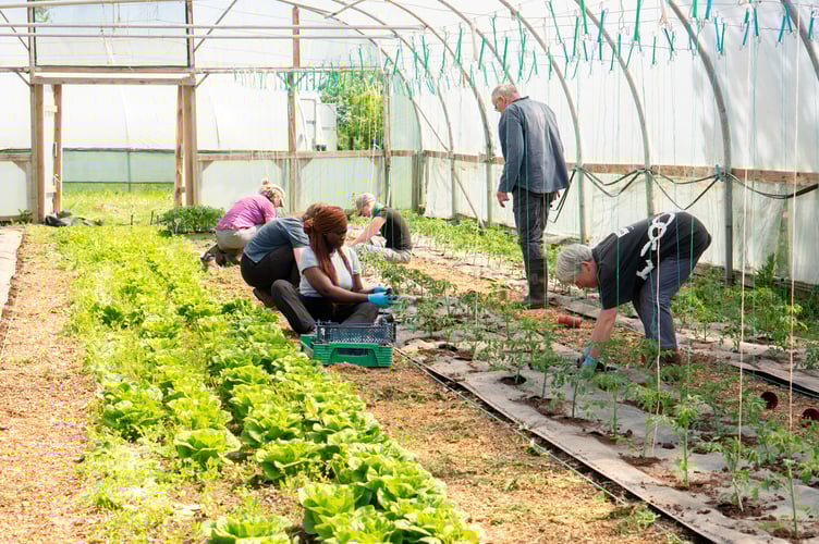 The Community Farm have been nominated for the Best Organic Retailer award at the Best of Organic Market awards.