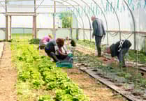 Farm from Chew Magna nominated as best organic retailer