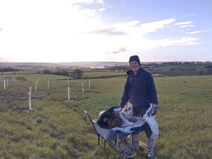 Chew Valley Plants Trees - Farmland to woodland?