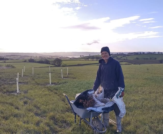 Chew Valley Plants Trees - Farmland to woodland?