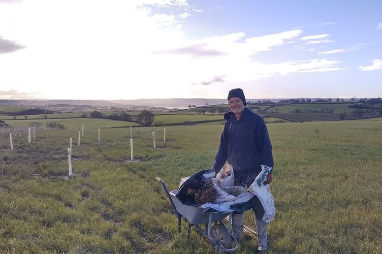 Chew Valley Plants Trees spoke to Gavin Spittlehouse about his work increasing tree coverage in the Chew Valley